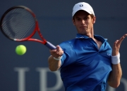 雷火竞技-包含穆雷在RNG比赛中高光表现，比分优势明显引发热议！的词条